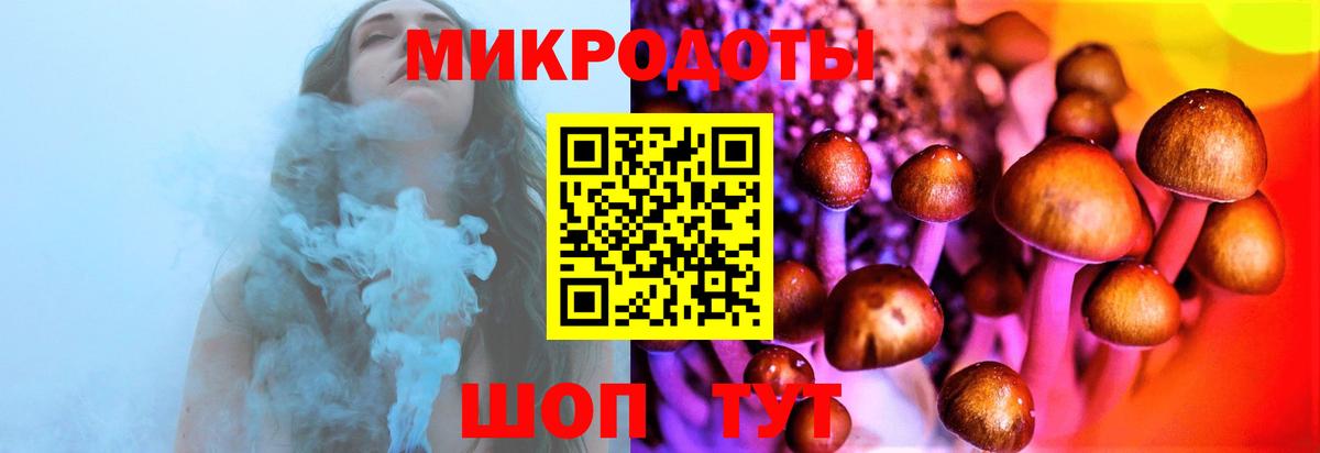 Галлюциногенные грибы мухоморы Карасук